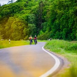 Two cyclists riding on a curved paved road through lush green forest. Dense trees line both sides of the path with grass verges.