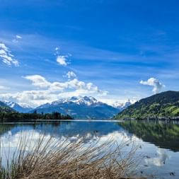 Calm Zeller See reflecting snow-capped alpine peaks under blue sky. Green forested slopes and villages line the shores, with reeds in foreground.