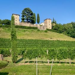 Castello di Trussio auf einem Hügel im Friaul mit Zypressen und Steinmauern, umgeben von grünen Weinbergen unter blauem Himmel.