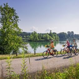 Drei Radfahrer auf einem asphaltierten Weg entlang der Elbe in Sachsen, mit grünen Bäumen und ruhigem Wasser, das den blauen Himmel spiegelt.