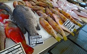 Fresh fish at the market