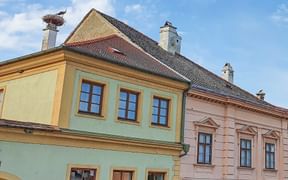 Störche auf den Dächern von Rust