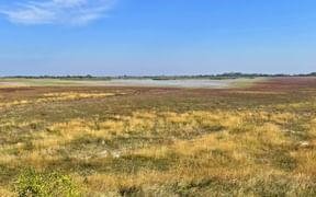 Die Salzlacken im Seewinkel