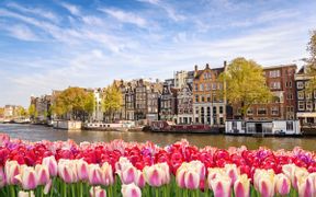 Blick auf Amsterdam im Blumenfeld