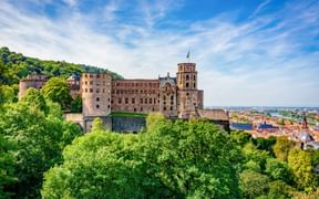 Ruinen des Heidelberger Schlosses auf einem Hügel umgeben von grünen Bäumen, mit der historischen Altstadt und roten Ziegeldächern darunter.