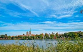 View of Stralsund across water with prominent brick church towers and historic buildings under blue sky with white clouds. Reed grass in foreground.