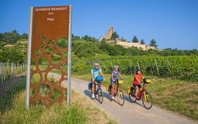 Radler vor der Wachtenburg