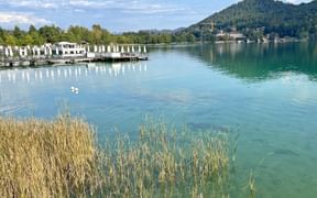 Türkisfarbenes Wasser des Klopeiner Sees mit Schilf im Vordergrund, Holzsteg mit weißen Sonnenschirmen links und bewaldeter Berg im Hintergrund.