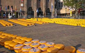 The cheese market in Alkmaar