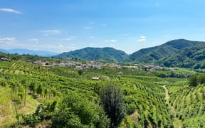 Grüne Weinberge in Conegliano mit einem Dorf zwischen bewaldeten Hügeln unter blauem Himmel mit vereinzelten Wolken.