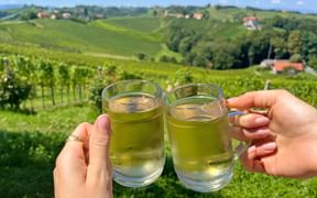 Zwei Gläser Wein mit den Weinbergen bei Gamlitz im Hintergrund