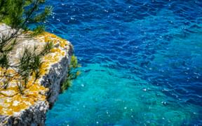 Rocky coastal cliff in Croatia with yellow lichen and green pine branches overlooking crystal-clear turquoise Adriatic Sea water.