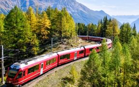 Zug fährt durch einen Wald