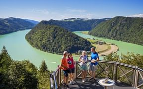 Cycling break for a group of 4 with a panoramic view of the Schlögener Schlinge
