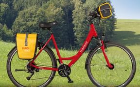 Eurobike unisex rental bike with 21/24 gears