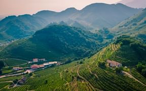 Terrassierte Weinberge auf sanften Hügeln in der Prosecco-Region mit vereinzelten Bauernhäusern und nebligen Bergen im Hintergrund bei Dämmerung.