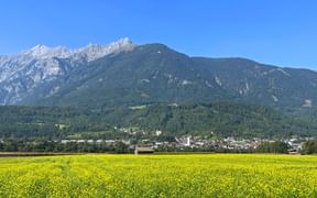 Rapeseed field in the Inn valley near Stans with the mountain panorama in the background