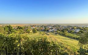 Panoramablick auf einen idyllischen Ort mit dem Neusiedlersee im Hintergrund