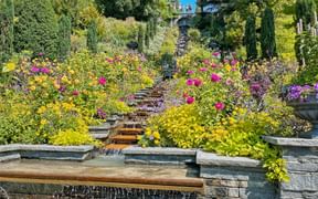 Die Blumenwassertreppe auf der Insel Mainau Die Blumenwassertreppe auf der Insel Mainau