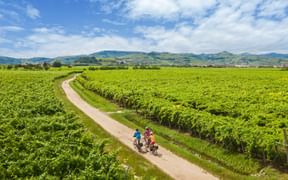 Panoramablick auf drei Radfahrer auf dem Radweg nahe Montforte Alpone