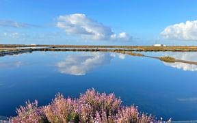 Ria Formosa Salt Lake