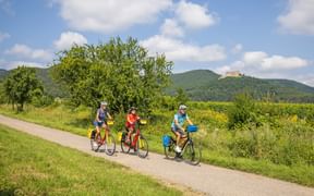 Cycle path near Hambach Castle