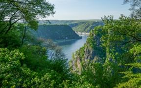 The Loreley rock near St. Goar