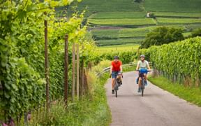 Radtour eines Pärchens zwischen den Weinbergen am Kalterer See