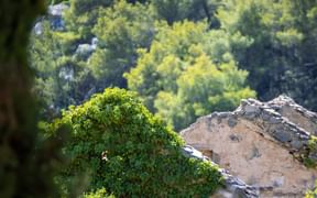 Walls of Trsat Castle near Rijeka