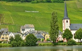 The Piesport wine-growing region