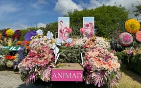 Geschmückter Paradewagen der Festa de Flor