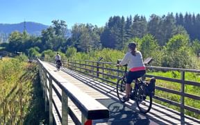 Radfahrer auf Steg im Moorgebiet Keutschach
