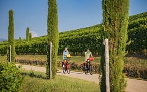 Zwei Radfahrer auf einer Radtour in den Weinbergen der Toskana