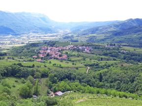 Vineyard panorama in Slovenia