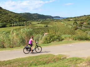 Radfahrerin am Radweg mit idyllischem Blick auf Weingärten und das Meer