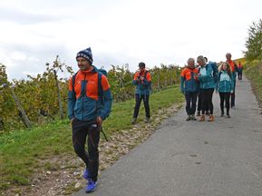 Hiking group on vineyard