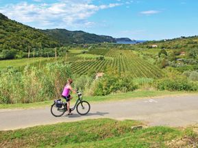 Radfahrerin auf einem Radweg mit Blick auf Weinreben und der Küste im Hintergrund