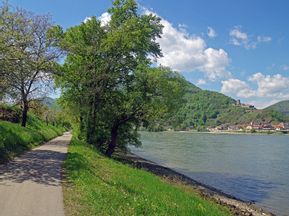 The Danube cycle path in the Wachau with a view of the Hinterhaus ruins
