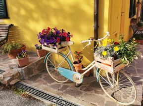 Fahrrad mit Blumen geschmückt