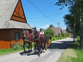 Horse-drawn carriage on the Dunajec cycle path