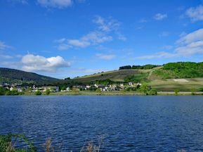 View of the Moselle