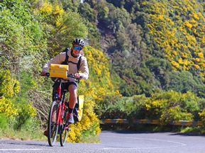 Radfahrer auf Bergstraße mit gelben Pflanzen