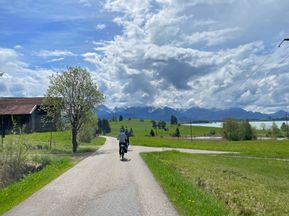 Fahrradfahrer auf Radweg durch Wiesen an See vorbei