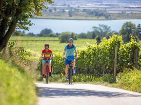 Zwei Radfahrer zwischen Weinbergen beim Kalterer See