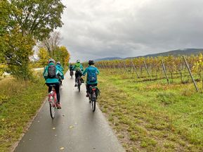 Cyclists on cycle path through vineyards