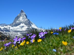 Das Matterhorn