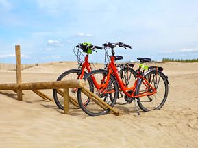 Fahrräder im Sand an der Küste Frankreichs
