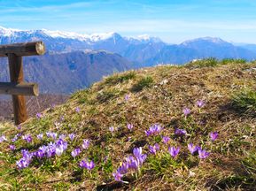 Kolovrat mit Ausblick auf die julischen Alpen