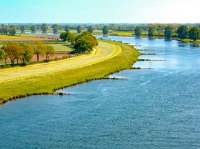 Fluss Maas