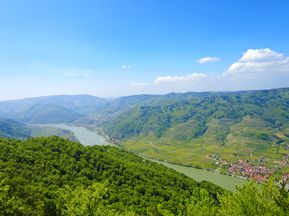 Panoramablick über die unberührte Landschaft in der Wachau